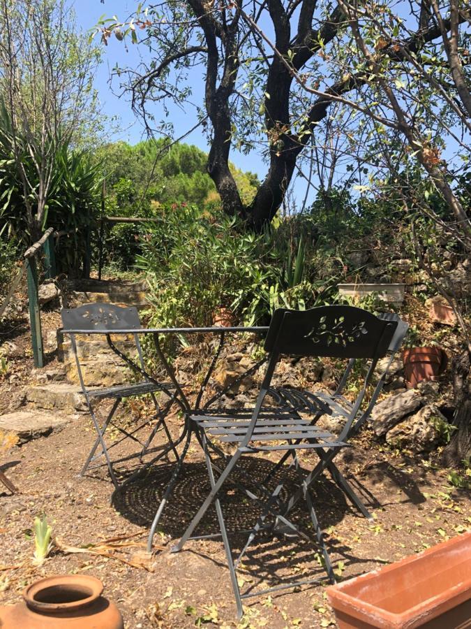 Chez Tatie Menie Bed and Breakfast Fraissé-des-Corbières Εξωτερικό φωτογραφία