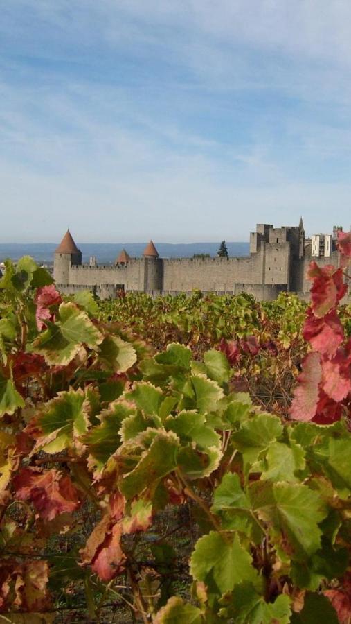 Chez Tatie Menie Bed and Breakfast Fraissé-des-Corbières Εξωτερικό φωτογραφία