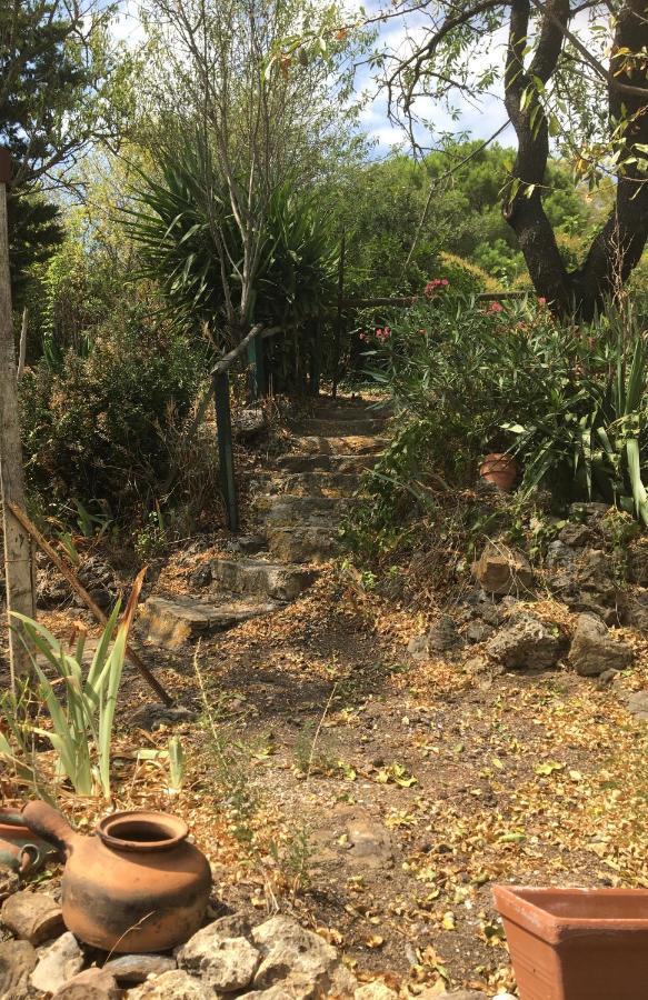 Chez Tatie Menie Bed and Breakfast Fraissé-des-Corbières Εξωτερικό φωτογραφία